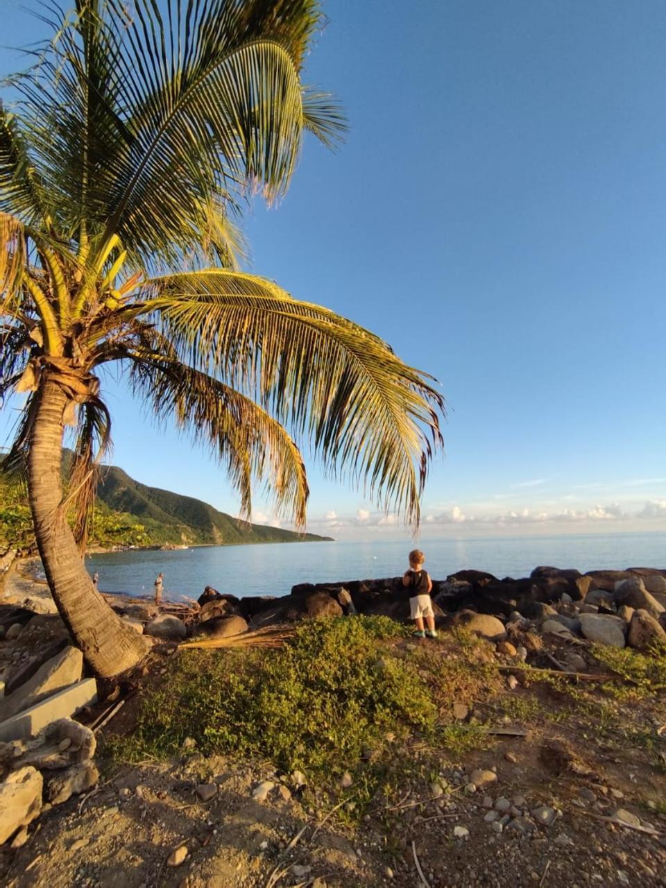 Kaz A Soley - Gite Vue Panoramique Sur La Mer - Plage A 500M Gourbeyre Exterior foto